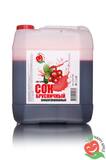 Сок концентрированный брусника 5 кг.